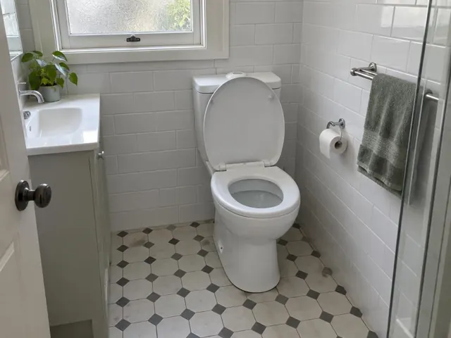 Clean white toilet in a tiled bathroom beside a sink and shower screen in Neutral Bay